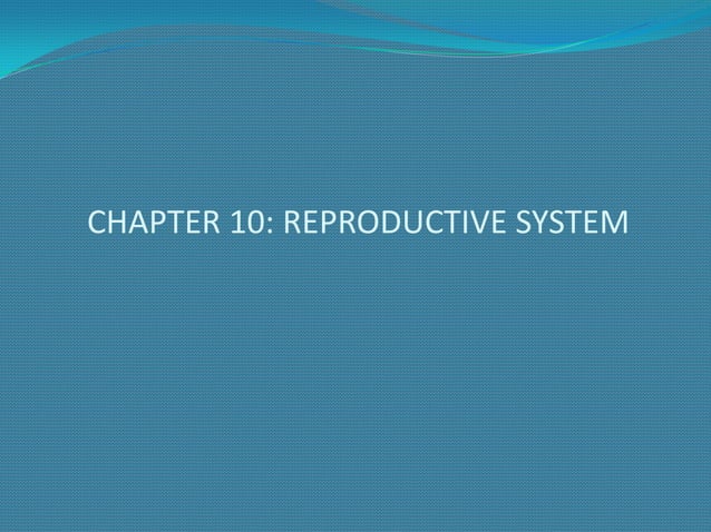 Chapter 10 powerpoint | PPT