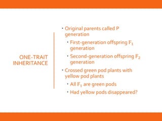 Chapter 10 Patterns of Inheritance | PPTX