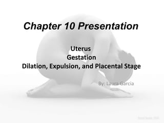 Chapter 10 Presentation Uterus Gestation Dilation, Expulsion, and Placental Stage By: Laura Garcia 