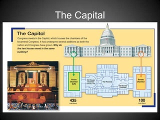 The Capital
 