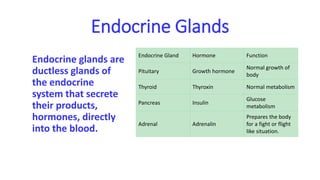Endocrine Glands
Endocrine glands are
ductless glands of
the endocrine
system that secrete
their products,
hormones, directly
into the blood.
Endocrine Gland Hormone Function
Pituitary Growth hormone
Normal growth of
body
Thyroid Thyroxin Normal metabolism
Pancreas Insulin
Glucose
metabolism
Adrenal Adrenalin
Prepares the body
for a fight or flight
like situation.
 