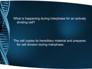 What is happening during interphase for an actively
dividing cell?
The cell copies its hereditary material and prepares
for cell division during interphase.
 