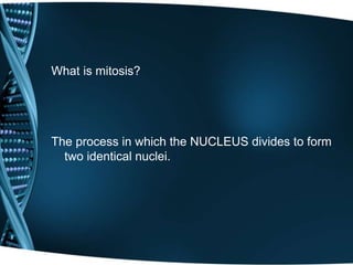 What is mitosis?
The process in which the NUCLEUS divides to form
two identical nuclei.
 