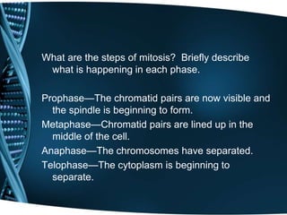What are the steps of mitosis? Briefly describe
what is happening in each phase.
Prophase—The chromatid pairs are now visible and
the spindle is beginning to form.
Metaphase—Chromatid pairs are lined up in the
middle of the cell.
Anaphase—The chromosomes have separated.
Telophase—The cytoplasm is beginning to
separate.
 