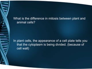 What is the difference in mitosis between plant and
animal cells?
In plant cells, the appearance of a cell plate tells you
that the cytoplasm is being divided. (because of
cell wall)
 
