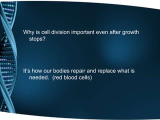 Why is cell division important even after growth
stops?
It’s how our bodies repair and replace what is
needed. (red blood cells)
 