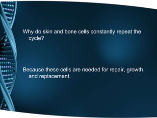Why do skin and bone cells constantly repeat the
cycle?
Because these cells are needed for repair, growth
and replacement.
 