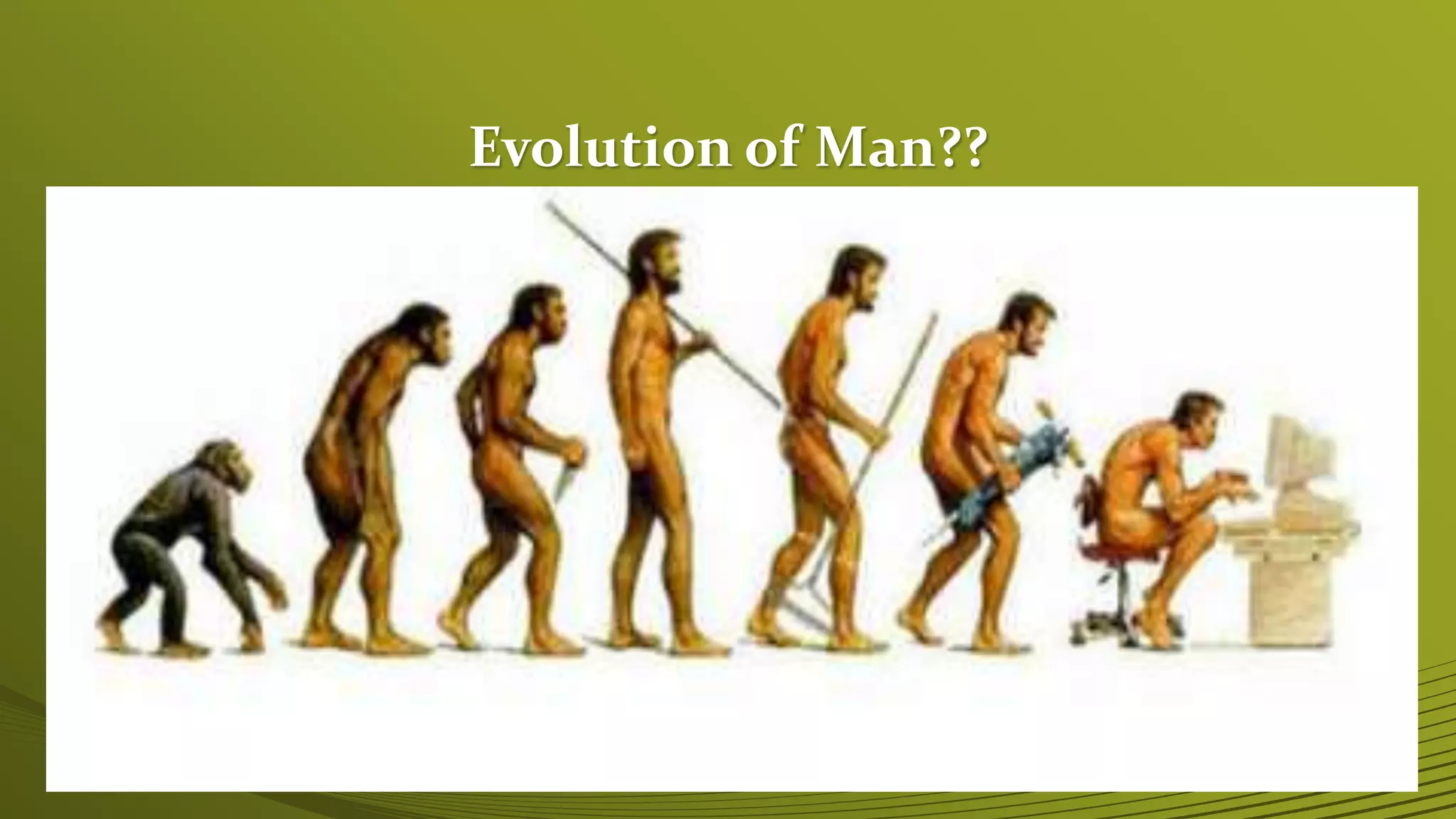 Evolution of Man??
 