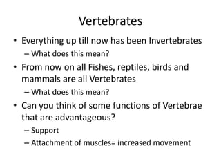 Vertebrates
• Everything up till now has been Invertebrates
– What does this mean?
• From now on all Fishes, reptiles, birds and
mammals are all Vertebrates
– What does this mean?
• Can you think of some functions of Vertebrae
that are advantageous?
– Support
– Attachment of muscles= increased movement
 