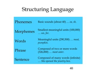 40
Structuring Language
Phrase
Sentence
Meaningful units (290,500) … meat,
pumpkin.Words
Smallest meaningful units (100,000)
… un, for.Morphemes
Basic sounds (about 40) … ea, sh.Phonemes
Composed of two or more words
(326,000) … meat eater.
Composed of many words (infinite)
… She opened the jewelry box.
 