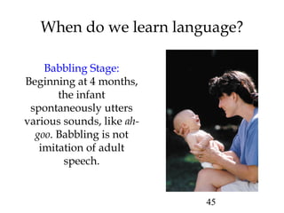 45
When do we learn language?
Babbling Stage:
Beginning at 4 months,
the infant
spontaneously utters
various sounds, like ah-
goo. Babbling is not
imitation of adult
speech.
 