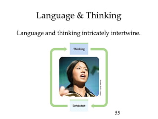 55
Language & Thinking
Language and thinking intricately intertwine.
RubberBall/Almay
 