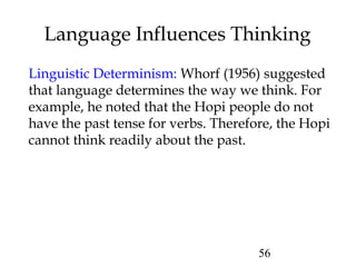 56
Language Influences Thinking
Linguistic Determinism: Whorf (1956) suggested
that language determines the way we think. For
example, he noted that the Hopi people do not
have the past tense for verbs. Therefore, the Hopi
cannot think readily about the past.
 
