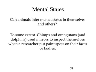 68
Mental States
Can animals infer mental states in themselves
and others?
To some extent. Chimps and orangutans (and
dolphins) used mirrors to inspect themselves
when a researcher put paint spots on their faces
or bodies.
 