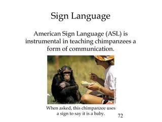 72
Sign Language
American Sign Language (ASL) is
instrumental in teaching chimpanzees a
form of communication.
When asked, this chimpanzee uses
a sign to say it is a baby. PaulFusco/MagnumPhotos
 