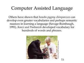 73
Computer Assisted Language
Others have shown that bonobo pygmy chimpanzees can
develop even greater vocabularies and perhaps semantic
nuances in learning a language (Savage-Rumbaugh,
1991). Kanzi and Panbanish developed vocabulary for
hundreds of words and phrases.
CopyrightofGreatApeTrustofIowa
 