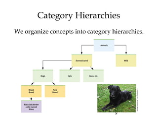 9
Category Hierarchies
We organize concepts into category hierarchies.
CourtesyofChristineBrune
 