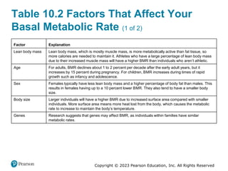 Copyright © 2023 Pearson Education, Inc. All Rights Reserved
Table 10.2 Factors That Affect Your
Basal Metabolic Rate (1 of 2)
Factor Explanation
Lean body mass Lean body mass, which is mostly muscle mass, is more metabolically active than fat tissue, so
more calories are needed to maintain it. Athletes who have a large percentage of lean body mass
due to their increased muscle mass will have a higher BMR than individuals who aren’t athletic.
Age For adults, BMR declines about 1 to 2 percent per decade after the early adult years, but it
increases by 15 percent during pregnancy. For children, BMR increases during times of rapid
growth such as infancy and adolescence.
Sex Females typically have less lean body mass and a higher percentage of body fat than males. This
results in females having up to a 10 percent lower BMR. They also tend to have a smaller body
size.
Body size Larger individuals will have a higher BMR due to increased surface area compared with smaller
individuals. More surface area means more heat lost from the body, which causes the metabolic
rate to increase to maintain the body’s temperature.
Genes Research suggests that genes may affect BMR, as individuals within families have similar
metabolic rates.
 