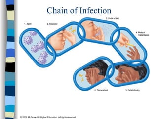 Chain of Infection 