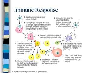 Immune Response 
