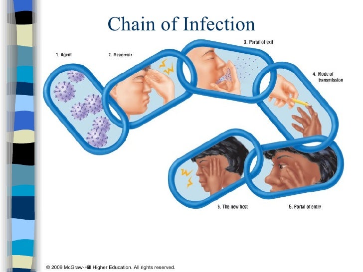 german measles pictures #11