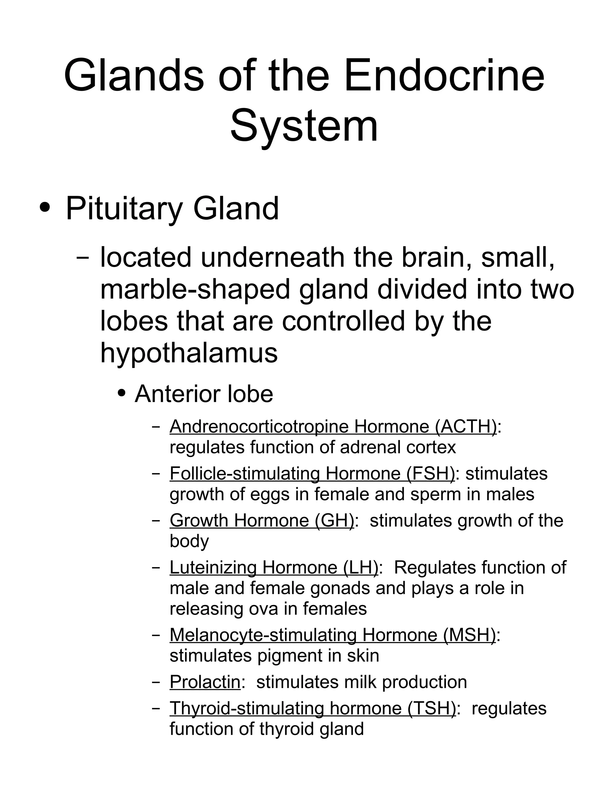 Glands of the Endocrine System Pituitary Gland located underneath the brain, small, marble-shaped gland divided into two lobes that are controlled by the hypothalamus Anterior lobe Andrenocorticotropine Hormone (ACTH) :  regulates function of adrenal cortex Follicle-stimulating Hormone (FSH) : stimulates growth of eggs in female and sperm in males Growth Hormone (GH) :  stimulates growth of the body Luteinizing Hormone (LH) :  Regulates function of male and female gonads and plays a role in releasing ova in females Melanocyte-stimulating Hormone (MSH) :  stimulates pigment in skin Prolactin :  stimulates milk production Thyroid-stimulating hormone (TSH) :  regulates function of thyroid gland 