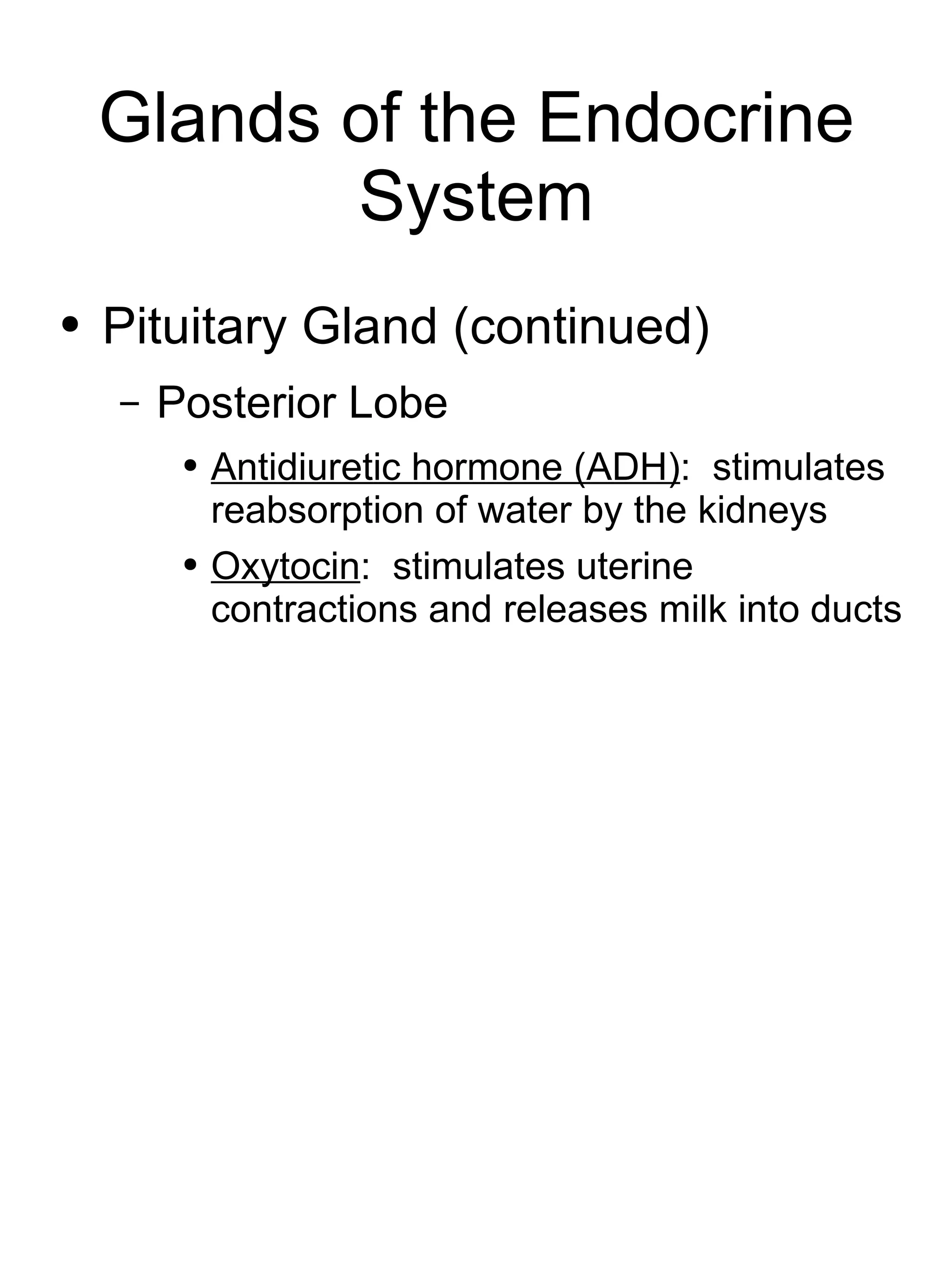 Glands of the Endocrine System Pituitary Gland (continued) Posterior Lobe Antidiuretic hormone (ADH) :  stimulates reabsorption of water by the kidneys Oxytocin :  stimulates uterine contractions and releases milk into ducts 