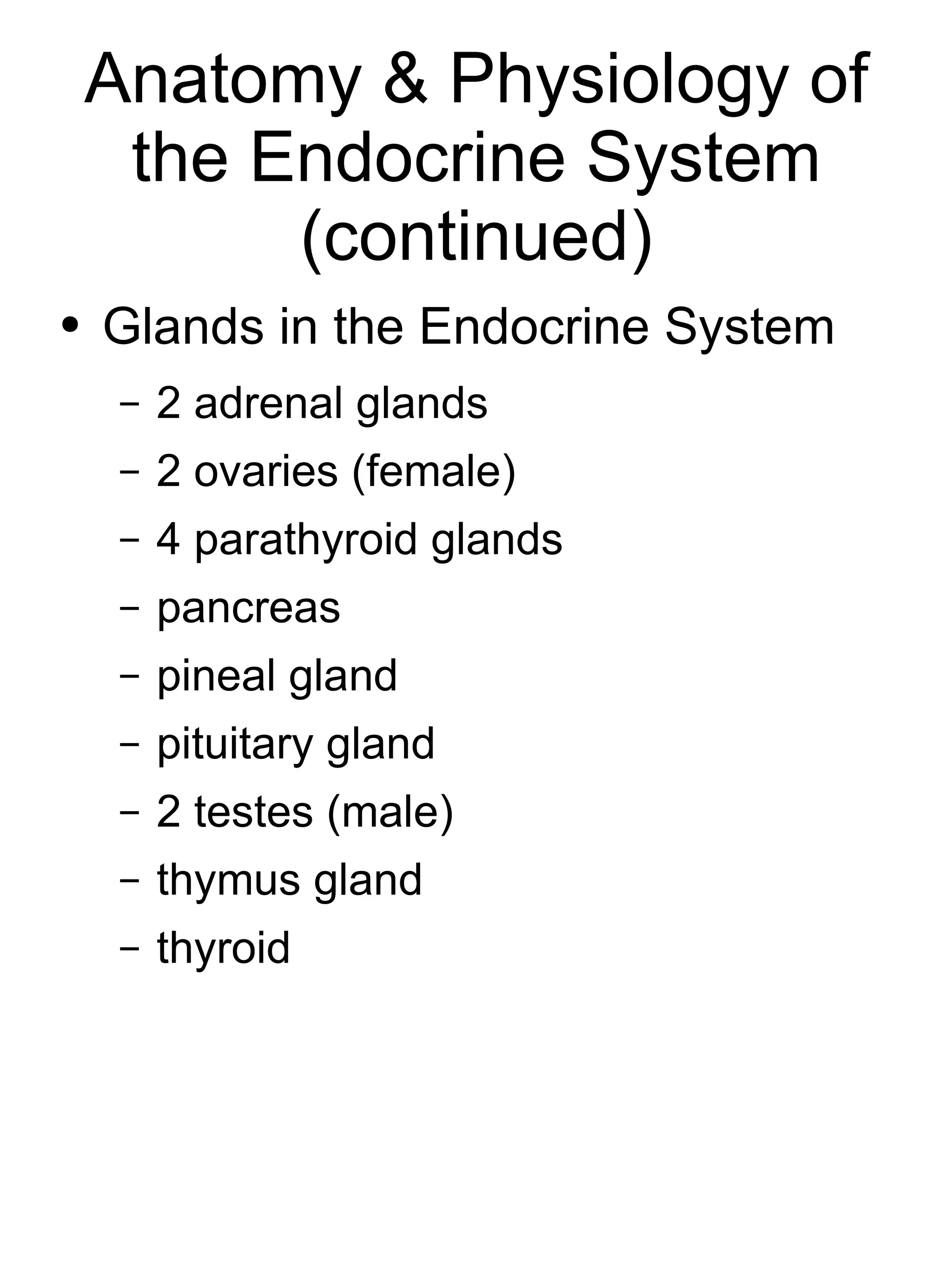 Anatomy & Physiology of the Endocrine System (continued) Glands in the Endocrine System 2 adrenal glands 2 ovaries (female) 4 parathyroid glands pancreas pineal gland pituitary gland 2 testes (male) thymus gland thyroid 