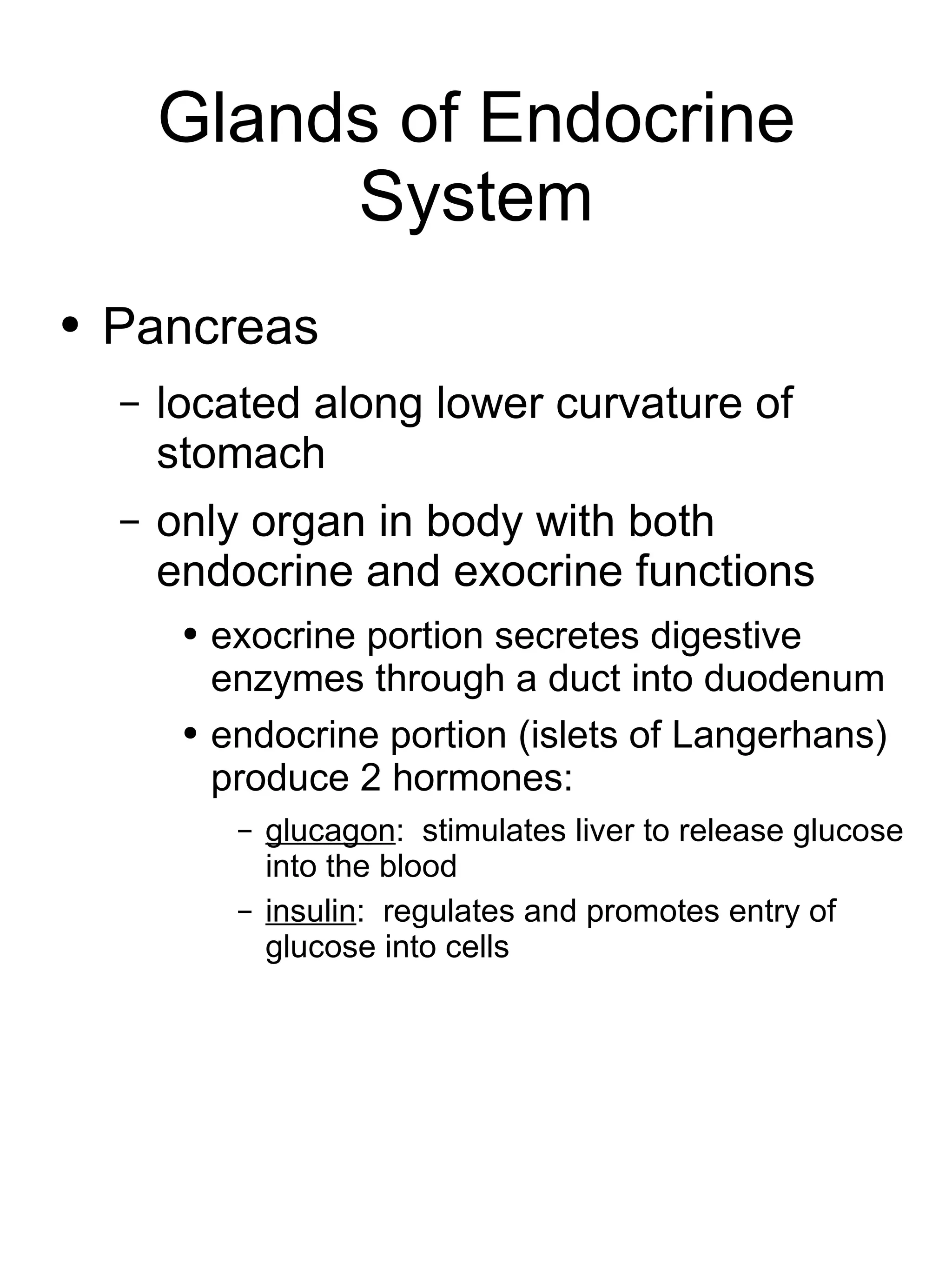 Glands of Endocrine System Pancreas located along lower curvature of stomach  only organ in body with both endocrine and exocrine functions exocrine portion secretes digestive enzymes through a duct into duodenum endocrine portion (islets of Langerhans) produce 2 hormones: glucagon :  stimulates liver to release glucose into the blood insulin :  regulates and promotes entry of glucose into cells 