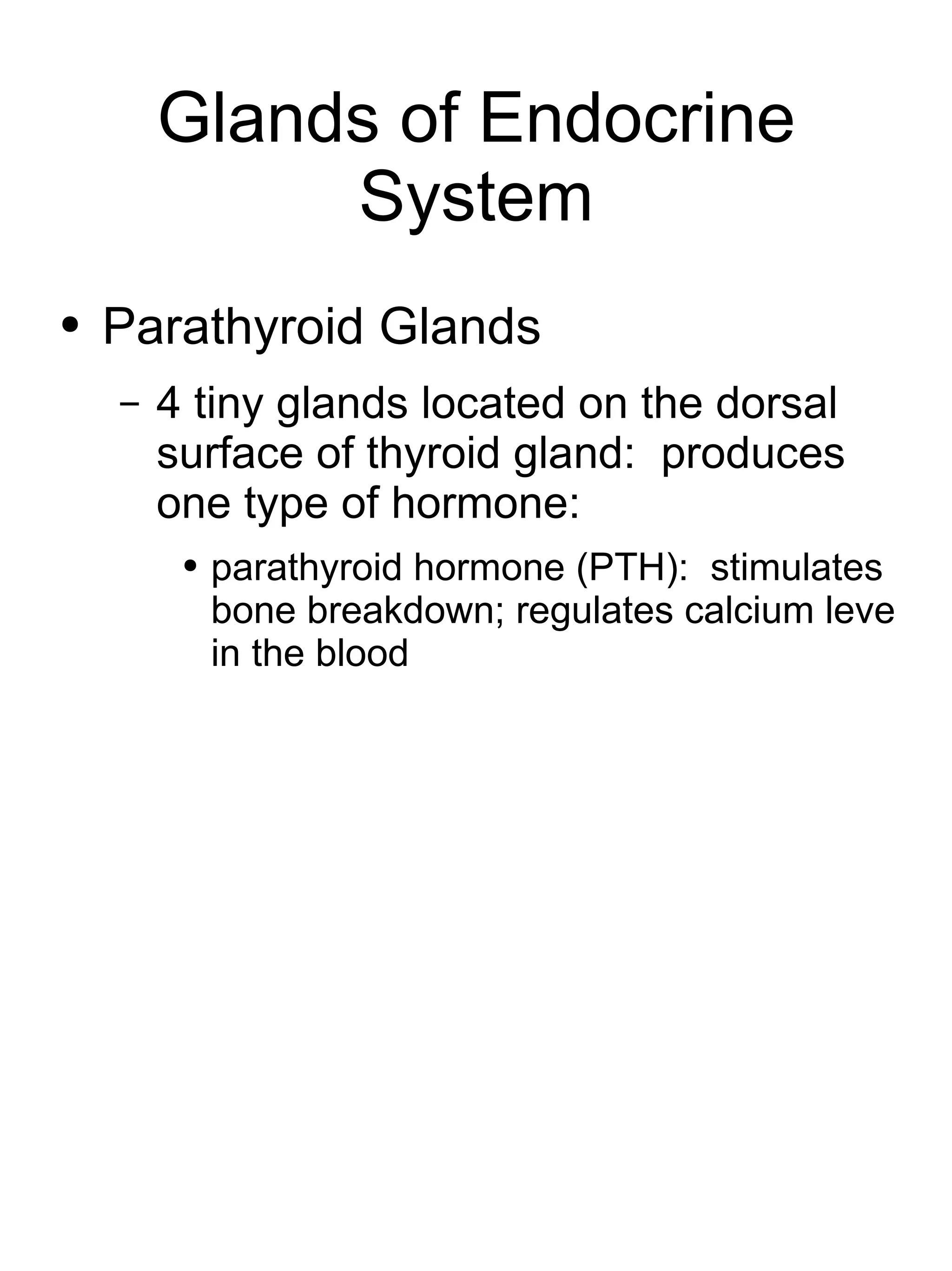 Glands of Endocrine System Parathyroid Glands 4 tiny glands located on the dorsal surface of thyroid gland:  produces one type of hormone: parathyroid hormone (PTH):  stimulates bone breakdown; regulates calcium leve in the blood 