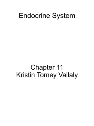 Endocrine System Chapter 11 Kristin Tomey Vallaly 