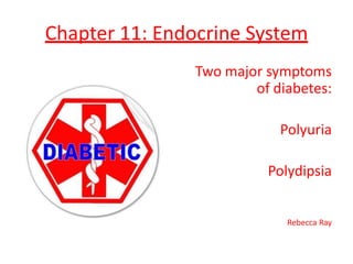Chapter 11: Endocrine System Two major symptoms of diabetes: Polyuria Polydipsia Rebecca Ray 