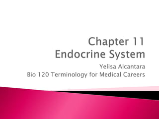 Yelisa Alcantara
Bio 120 Terminology for Medical Careers
 