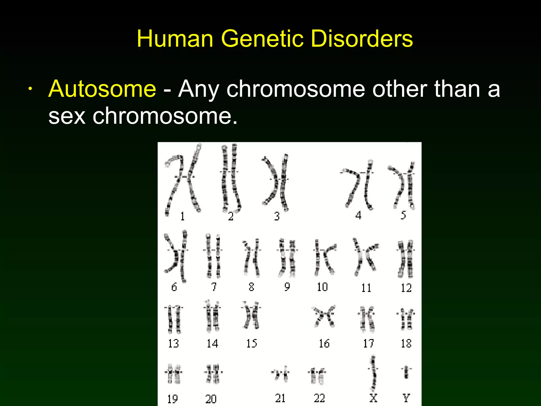 Human Genetic Disorders Autosome  - Any chromosome other than a sex chromosome. 