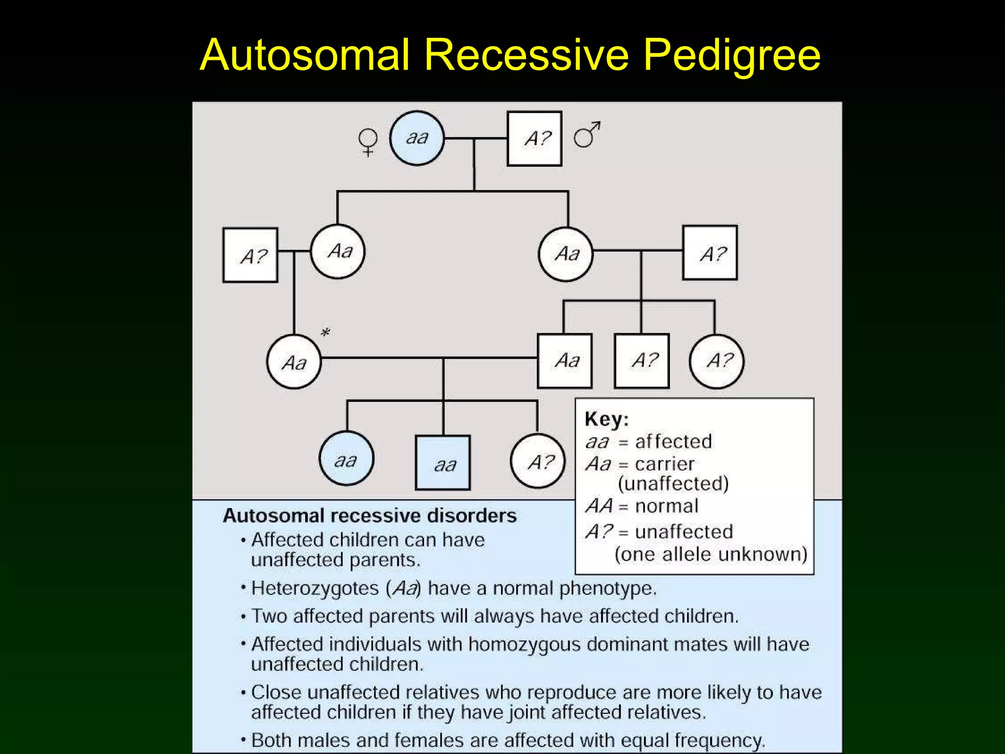Autosomal Recessive Pedigree 