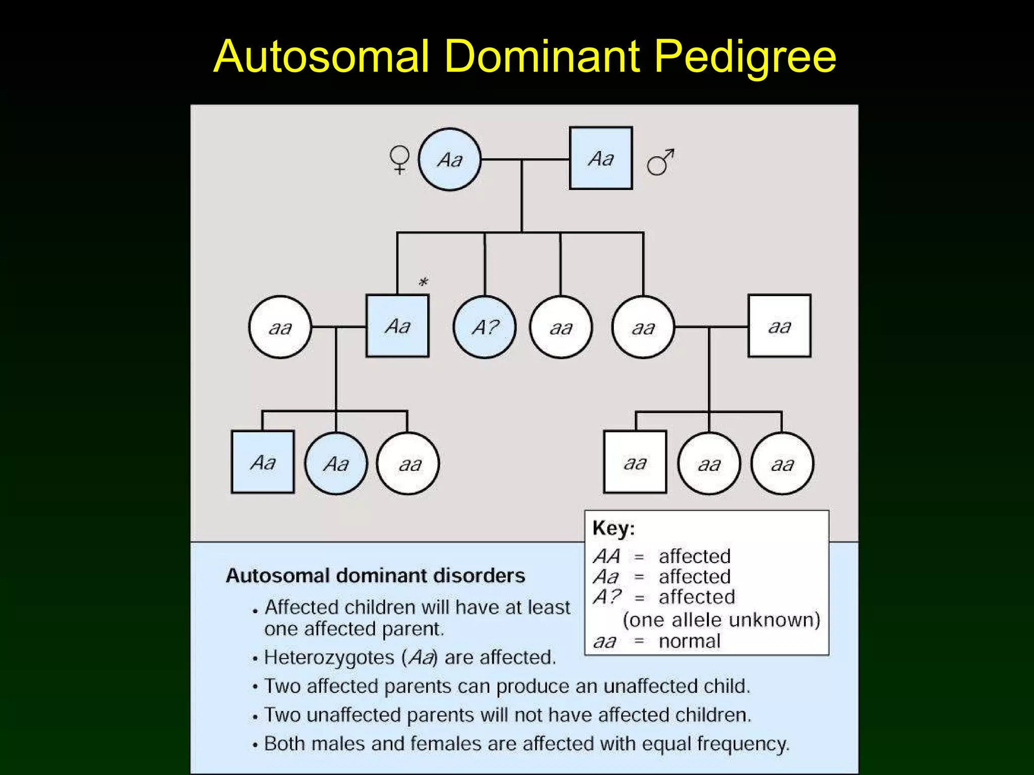 Autosomal Dominant Pedigree 