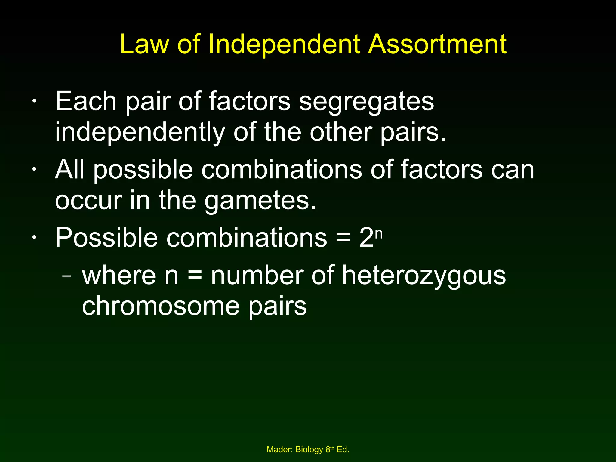 Law of Independent Assortment Each pair of factors segregates independently of the other pairs. All possible combinations of factors can occur in the gametes. Possible combinations = 2 n   where n = number of heterozygous chromosome pairs 