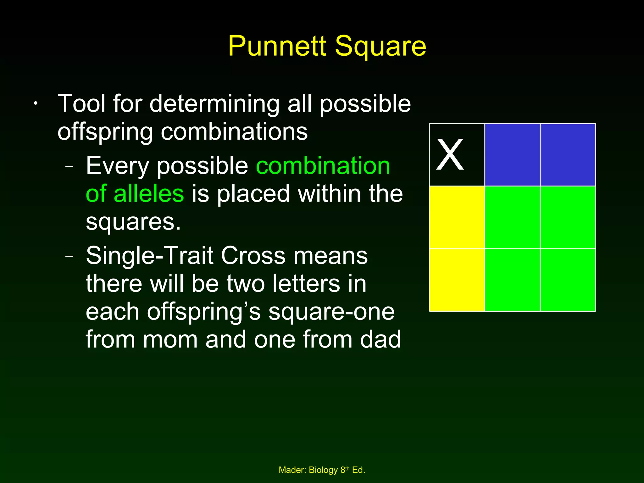 Punnett Square Tool for determining all possible offspring combinations Every possible  combination of alleles  is placed within the squares. Single-Trait Cross means there will be two letters in each offspring’s square-one from mom and one from dad X 