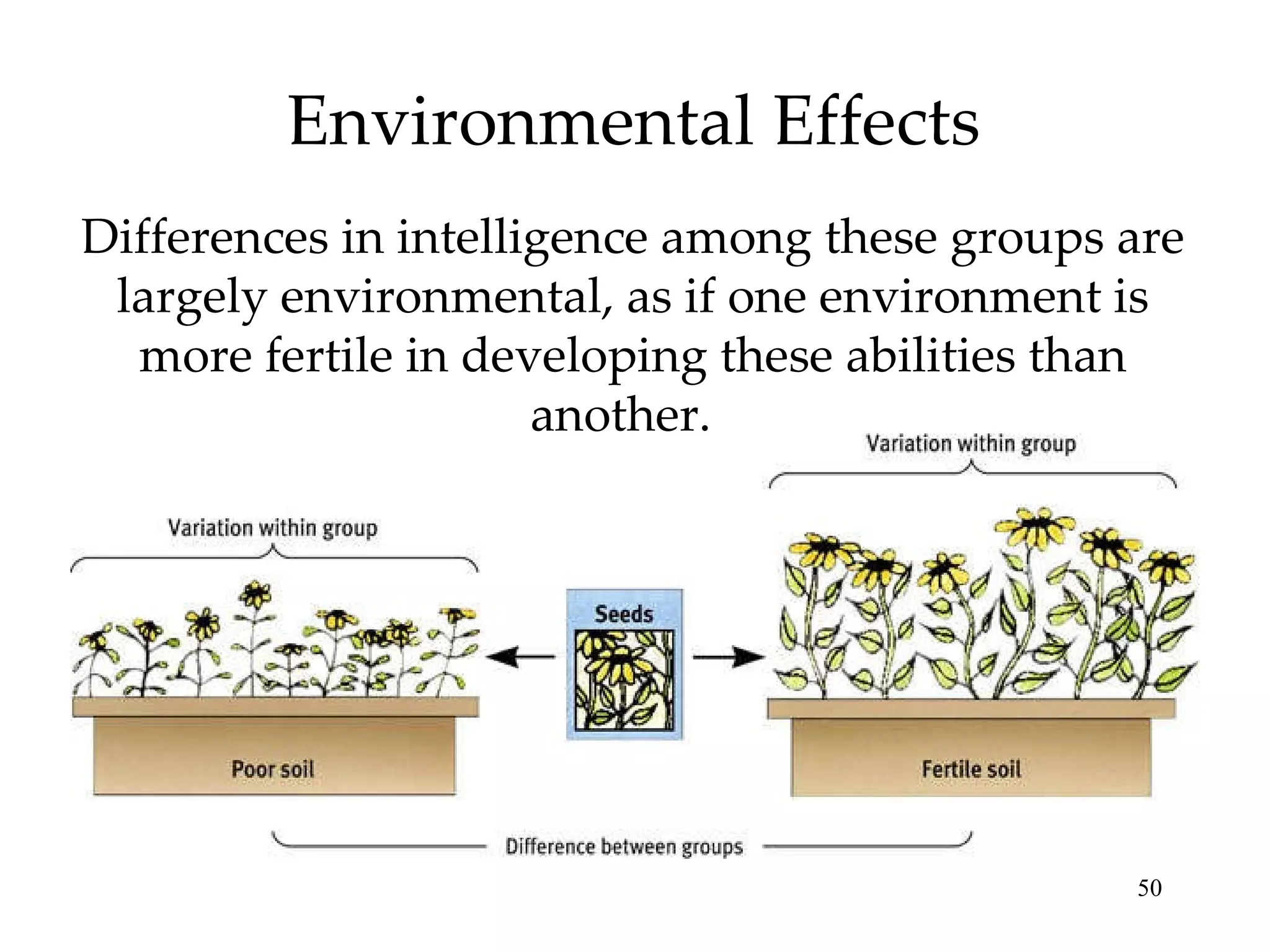 Environmental Effects Differences in intelligence among these groups are largely environmental, as if one environment is more fertile in developing these abilities than another.  