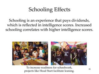 Schooling Effects Schooling is an experience that pays dividends, which is reflected in intelligence scores. Increased schooling correlates with higher intelligence scores. To increase readiness for schoolwork, projects like Head Start facilitate leaning. 