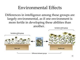 Environmental Effects Differences in intelligence among these groups are largely environmental, as if one environment is more fertile in developing these abilities than another.  