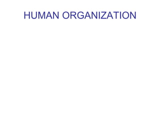 HUMAN ORGANIZATION
 