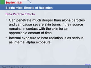 Chapter11 | PPT