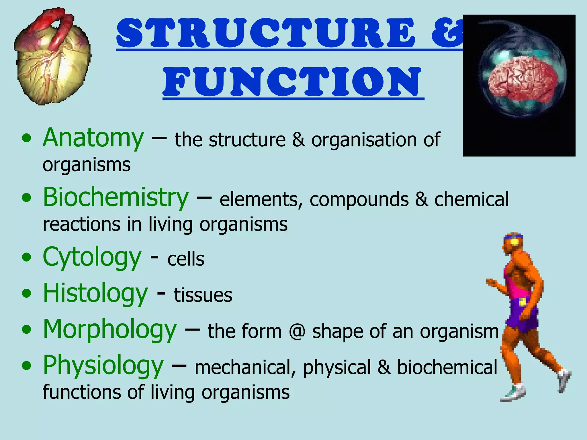 STRUCTURE &
              FUNCTION
• Anatomy –        the structure & organisation of
    organisms
• Biochemistry –          elements, compounds & chemical
    reactions in living organisms
•   Cytology - cells
•   Histology - tissues
•   Morphology – the form @ shape of an organism
•   Physiology – mechanical, physical & biochemical
    functions of living organisms
 