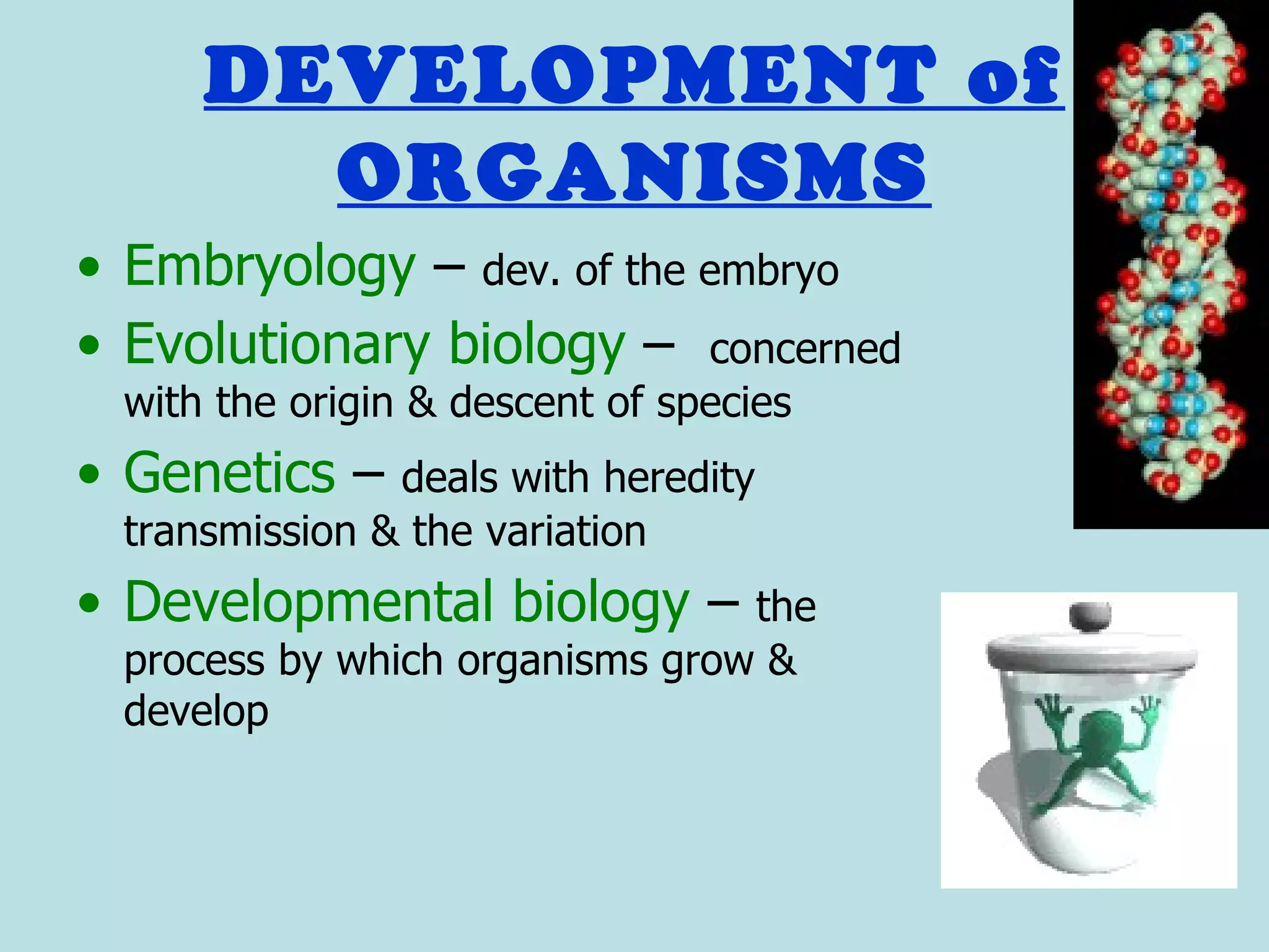 DEVELOPMENT of
       ORGANISMS
• Embryology – dev. of the embryo
• Evolutionary biology – concerned
 with the origin & descent of species
• Genetics –   deals with heredity
 transmission & the variation
• Developmental biology –       the
 process by which organisms grow &
 develop
 