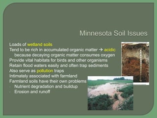 Loads of wetland soils
Tend to be rich in accumulated organic matter  acidic
because decaying organic matter consumes oxygen
Provide vital habitats for birds and other organisms
Retain flood waters easily and often trap sediments
Also serve as pollution traps
Intimately associated with farmland
Farmland soils have their own problems
• Nutrient degradation and buildup
• Erosion and runoff

 