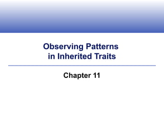 Observing Patterns
 in Inherited Traits

     Chapter 11
 