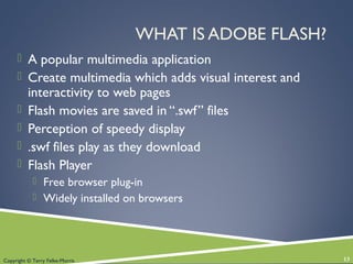 Copyright © Terry Felke-Morris
WHAT IS ADOBE FLASH?
 A popular multimedia application
 Create multimedia which adds visual interest and
interactivity to web pages
 Flash movies are saved in “.swf” files
 Perception of speedy display
 .swf files play as they download
 Flash Player
 Free browser plug-in
 Widely installed on browsers
13
 