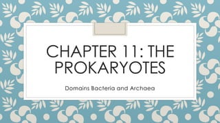 CHAPTER 11: THE
PROKARYOTES
Domains Bacteria and Archaea

 