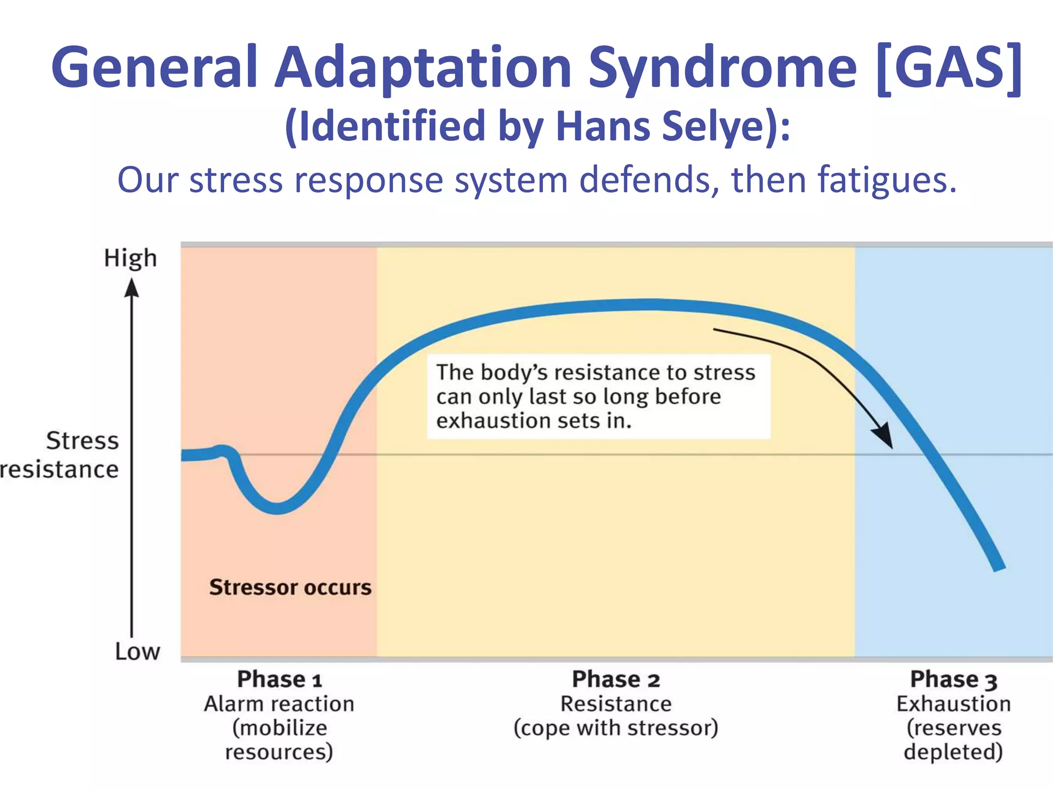 General Adaptation Syndrome [GAS]
(Identified by Hans Selye):
Our stress response system defends, then fatigues.

 